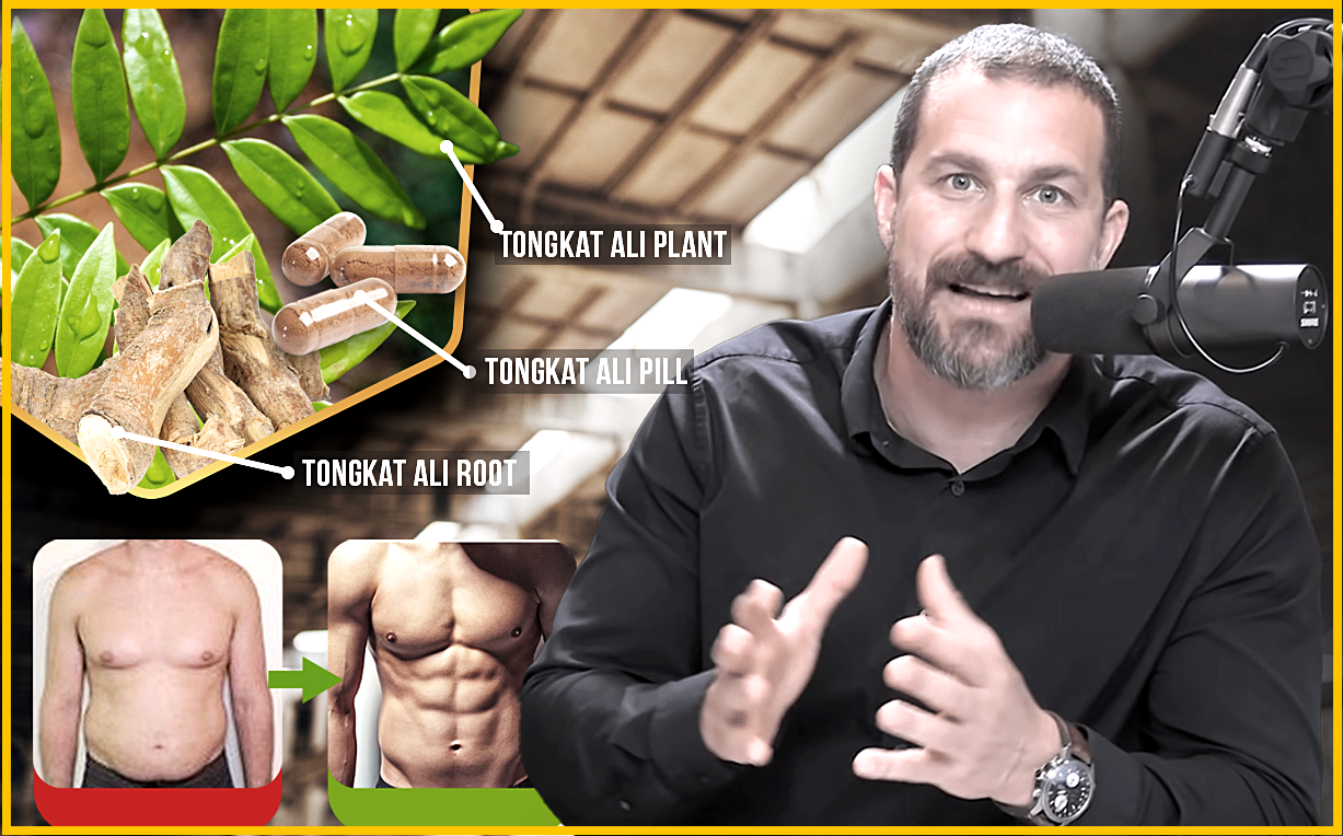 Load video: how to increase testosterone with tongkat ali by Huberman